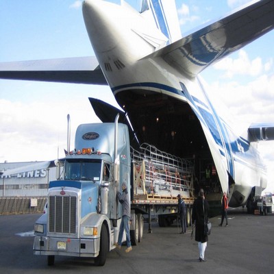 Transporte Aéreo de Carga